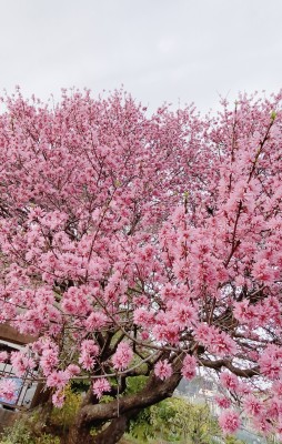 9AF54B3D-7835-47FF-9173-2BA4A840BE83